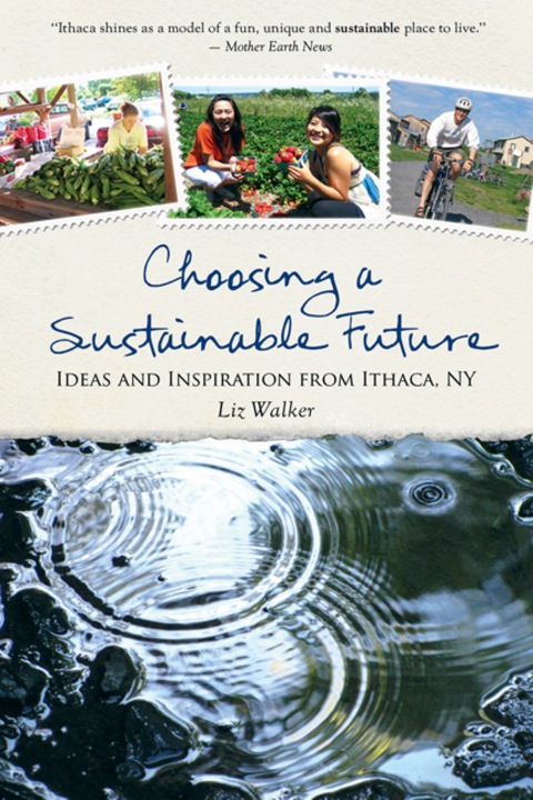 Cover image for book Choosing a Sustainable Future