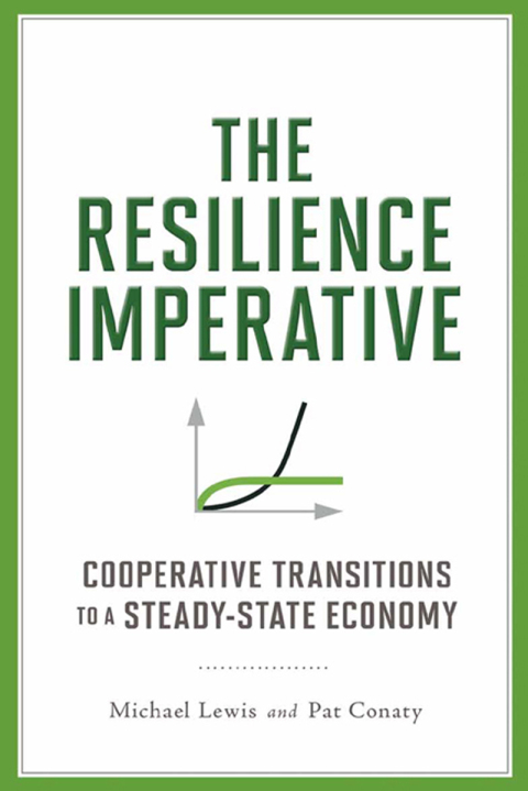 Cover image for book The Resilience Imperative