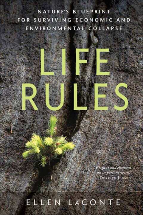 Cover image for book Life Rules