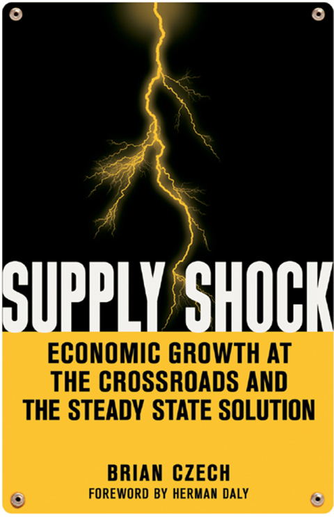 Cover image for book Supply Shock