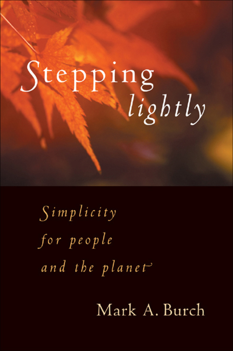 Cover image for book Stepping Lightly
