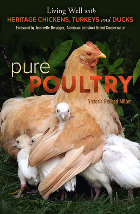 Cover image for book Pure Poultry