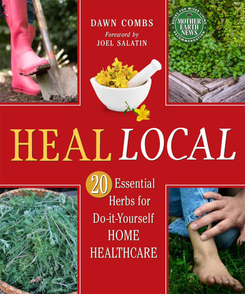 Cover image for book Heal Local