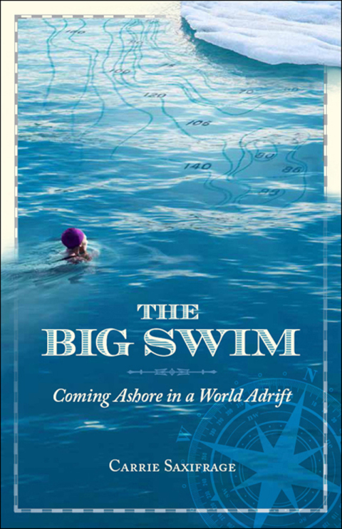 Cover image for book The Big Swim
