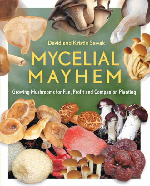 Cover image for book Mycelial Mayhem