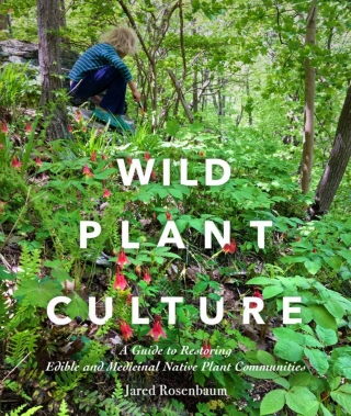 Wild Plant Culture