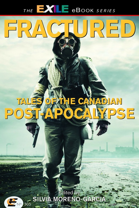 Cover image for book Fractured