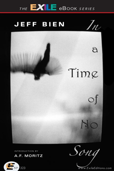 Cover image for book In a Time of No Song