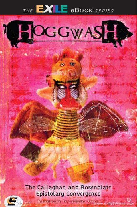 Cover image for book Hoggwash