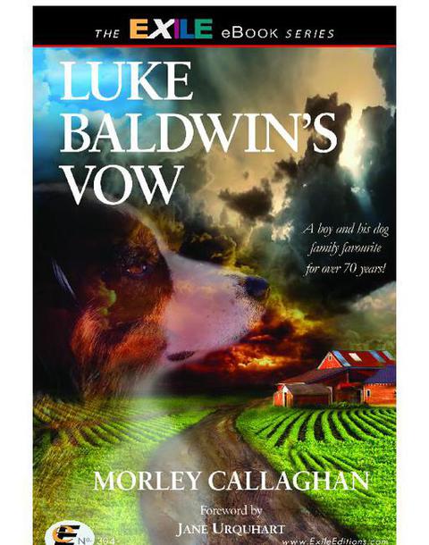 Cover image for book Luke Baldwin's Vow