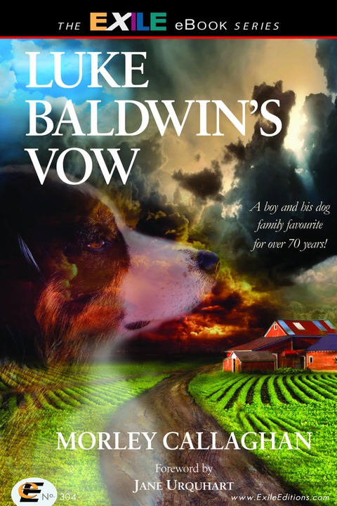 Cover image for book Luke Baldwin's Vow