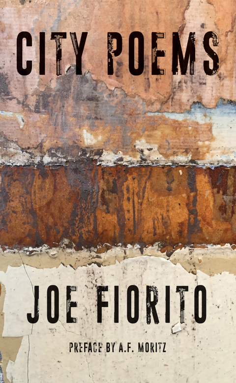 Cover image for book City Poems