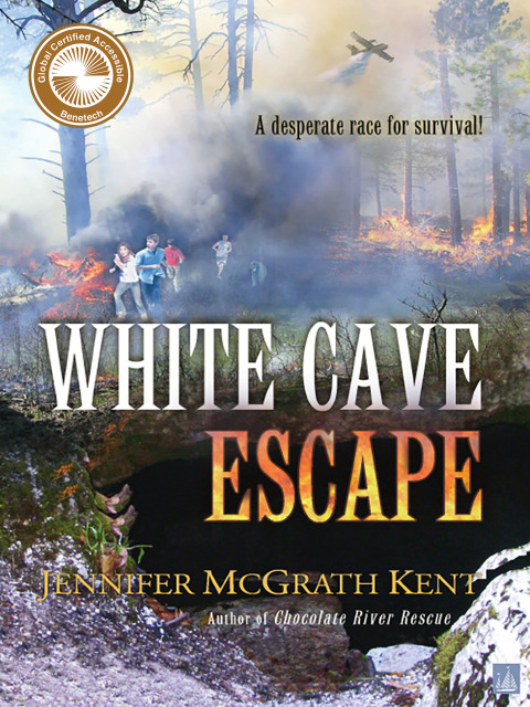 Cover image for book White Cave Escape