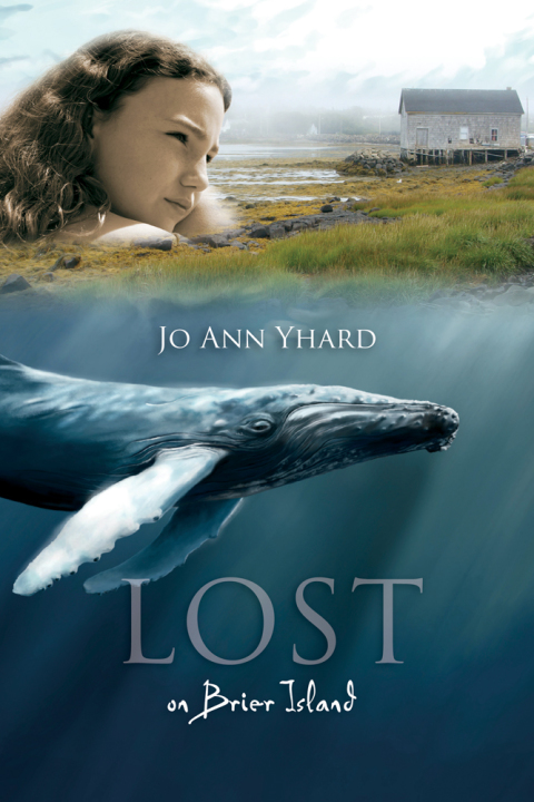 Cover image for book Lost on Brier Island