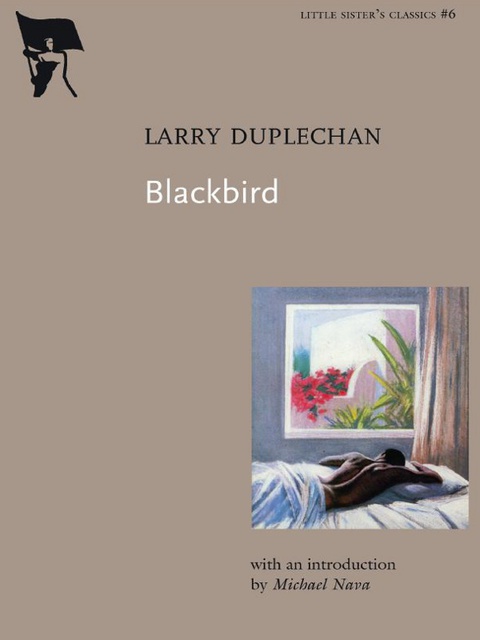 Cover image for book Blackbird
