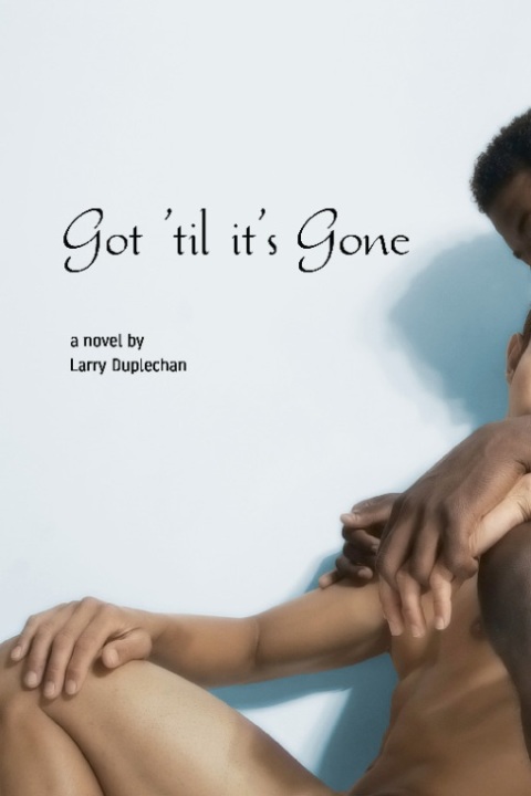 Cover image for book Got 'Til It's Gone