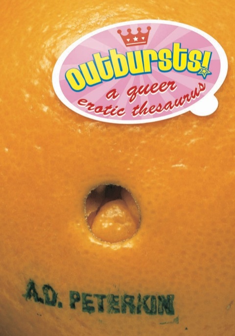 Cover image for book Outbursts!