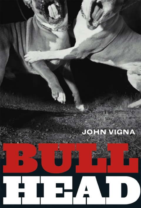 Cover image for book Bull Head