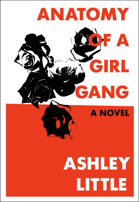 Cover image for book Anatomy of a Girl Gang