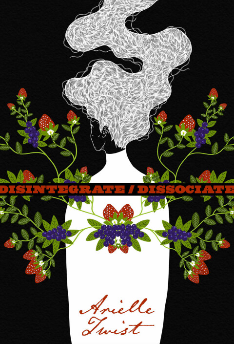 Cover image for book Disintegrate/Dissociate