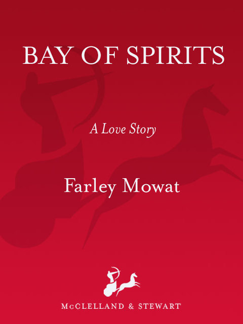 Cover image for book Bay of Spirits