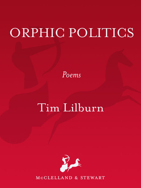 Cover image for book Orphic Politics