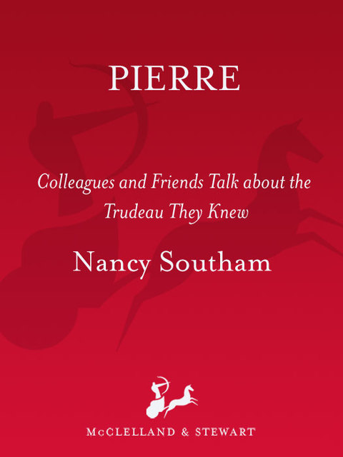 Cover image for book Pierre