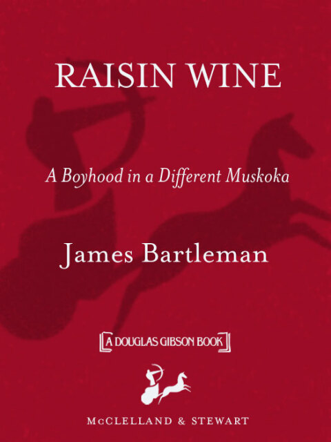 Cover image for book Raisin Wine