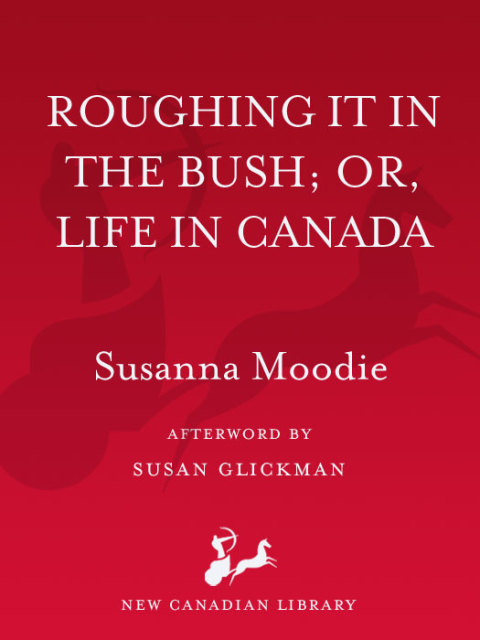 Cover image for book Roughing it in the Bush