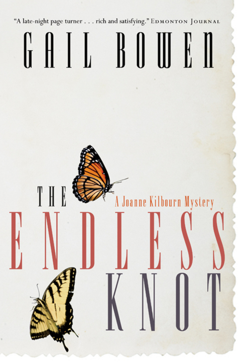 Cover image for book The Endless Knot
