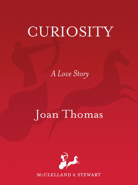Cover image for book Curiosity