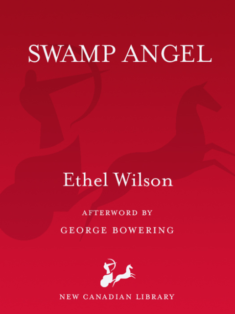 Cover image for book Swamp Angel
