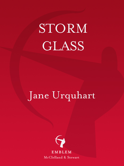 Cover image for book Storm Glass