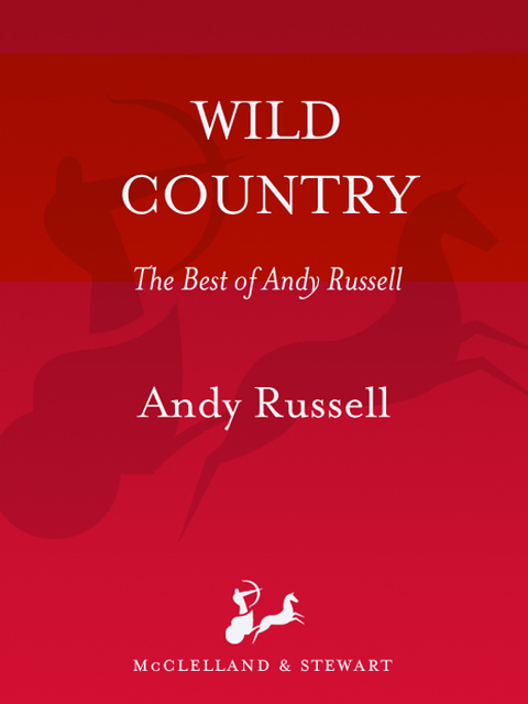 Cover image for book Wild Country