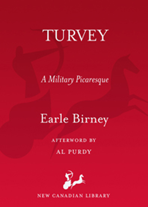 Cover image for book Turvey