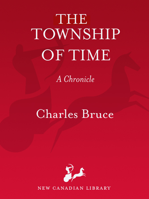 Cover image for book Township of Time