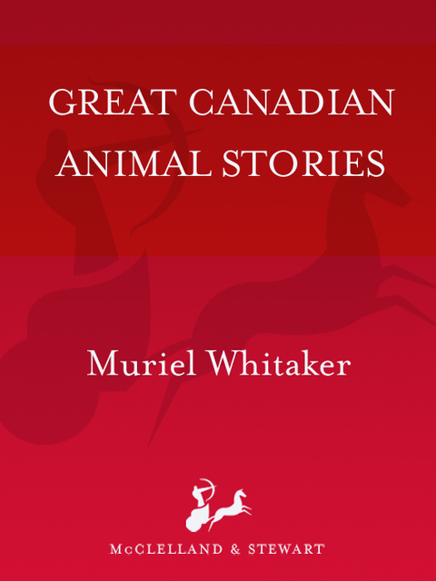 Cover image for book Great Canadian Animal Stories