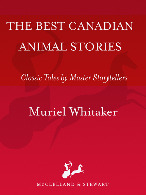 Cover image for book The Best Canadian Animal Stories