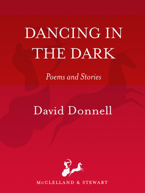 Cover image for book Dancing in the Dark