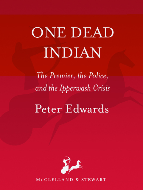 Cover image for book One Dead Indian