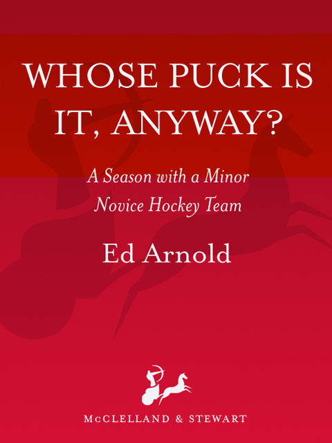 Cover image for book Whose Puck Is It, Anyway?