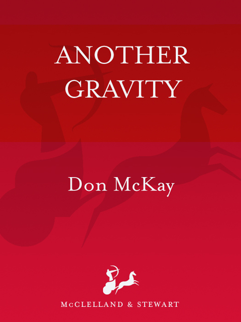 Cover image for book Another Gravity