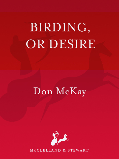 Cover image for book Birding, or Desire