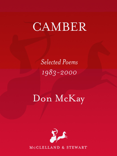 Cover image for book Camber
