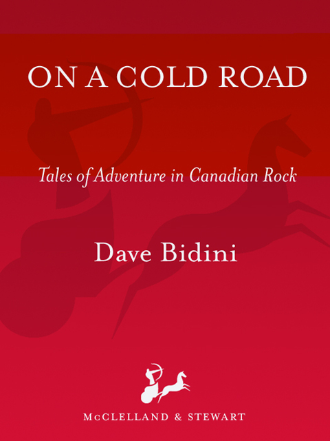 Cover image for book On a Cold Road