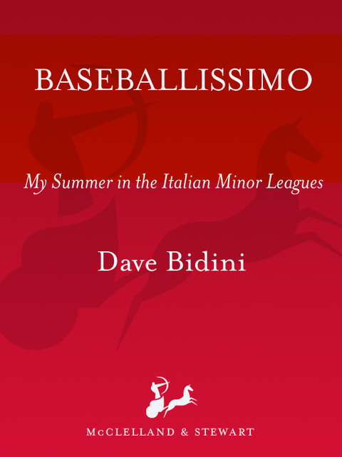 Cover image for book Baseballissimo