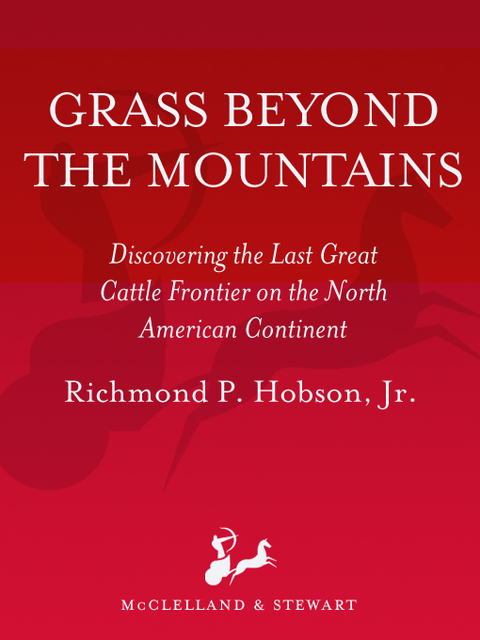 Cover image for book Grass Beyond the Mountains