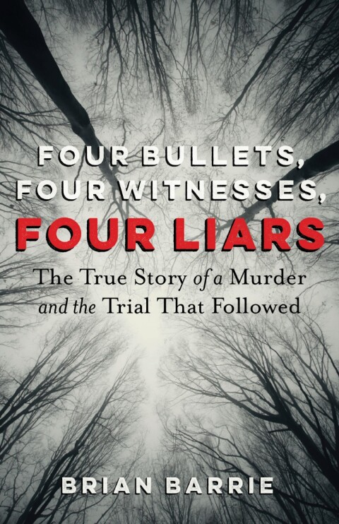 Cover image for book Four Bullets, Four Witnesses, Four Liars
