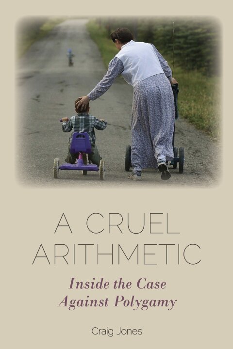Cover image for book A Cruel Arithmetic