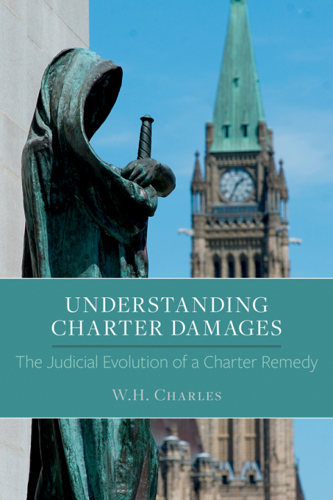 Cover image for book Understanding Charter Damages